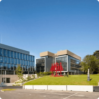 University 12